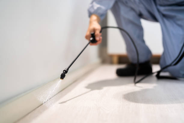 Bed Bug Pre-Treatment Preparation Assessment in Beeville