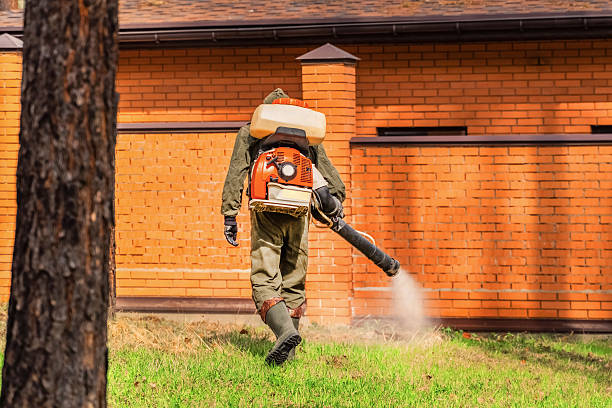 Bed Bug Clearance Verification and Documentation in Beeville